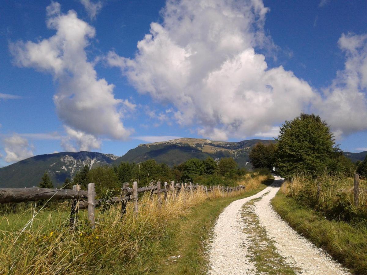 Hotel Alpi - Foza ภายนอก รูปภาพ